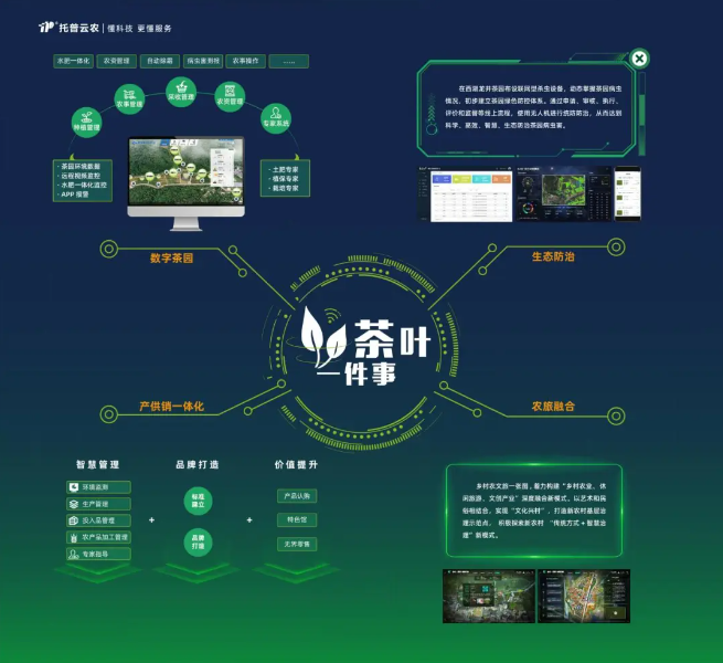 數(shù)字茶園案例 | “數(shù)字”賦能茶產(chǎn)業(yè)，“茶葉一件事”續(xù)寫中國茶發(fā)展新模式