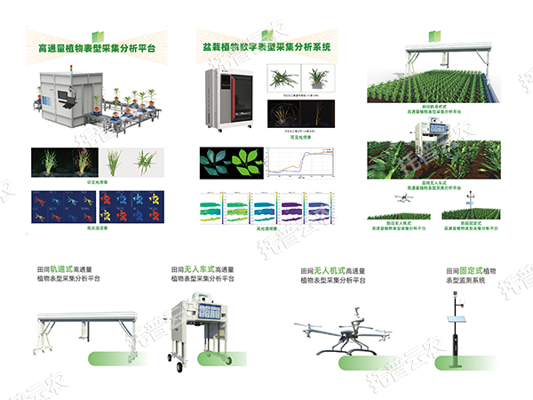 AI+農業(yè)新突破！托普高通量植物表型智能分析平臺助力智慧農業(yè)創(chuàng)新發(fā)展