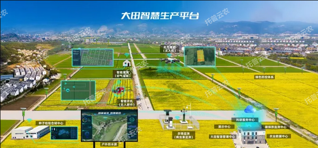 種業(yè)基地現代化建設方案