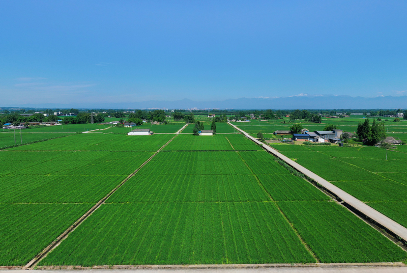 綠色農(nóng)田建設項目實施方案